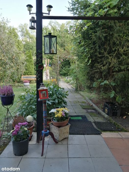 Działka ROD z domem w centrum Katowic