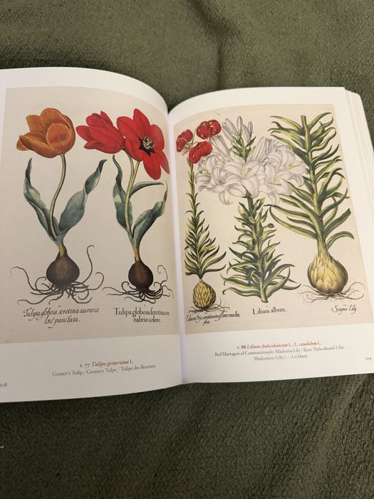 A Garden Eden. Masterpieces of Botanical Illustration ботаніка