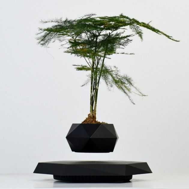 Левитирующий вазон, парящий горшок, левітуючий кашпо з норвежськ мохом