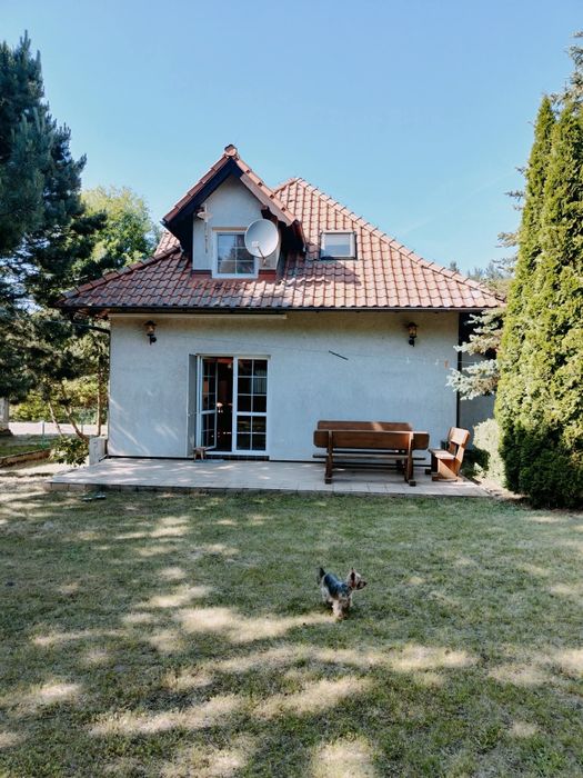 Willa Felix Szteklin