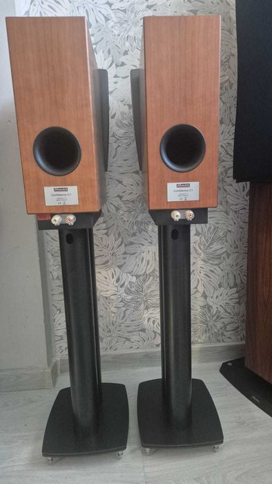 Kolumny Dynaudio Confidance C1