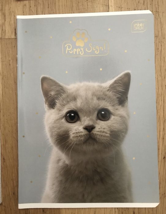 Zeszyt w kratkę A5 48tknsz