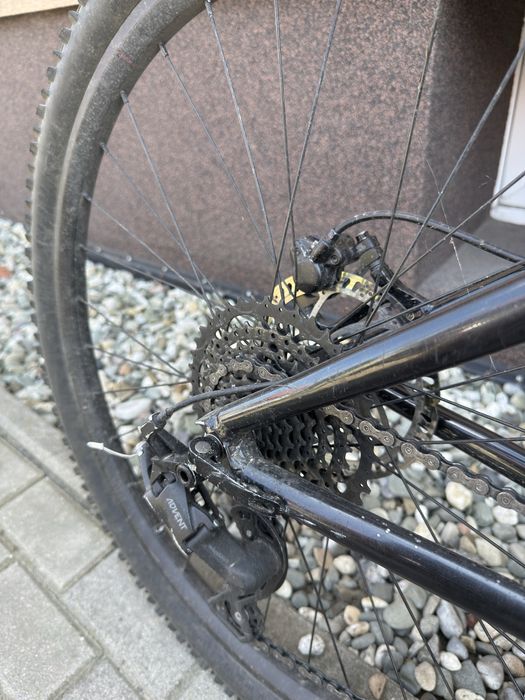 Dartmoor sparrow intro 27.5