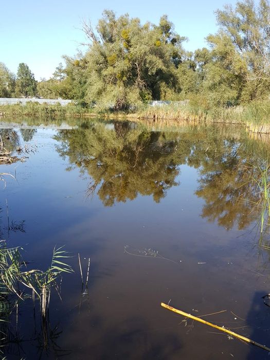 Велика Мотовилівка Солтанівка Барахти  В.Бугаівка  усадьба своє озеро