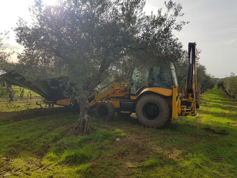 JCB 3CX Videlsur paralelo  strenx cpv
