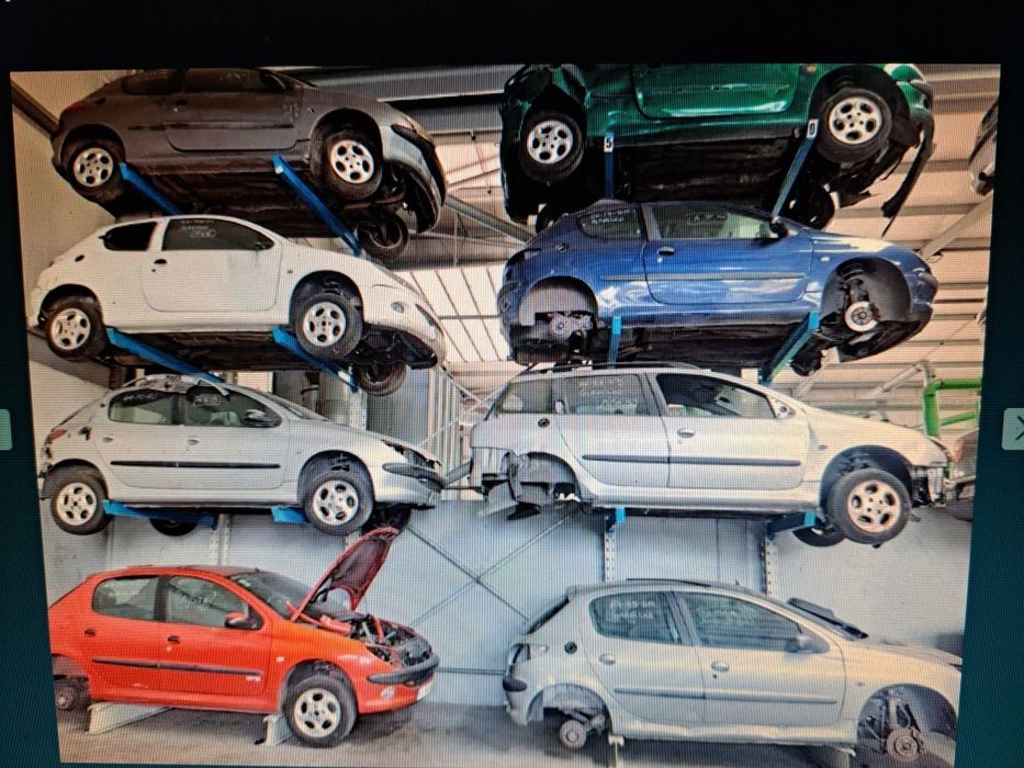 Peugeot BSI/BSM/206/307/406/C2/C3/C5/Berlingo/Sxara