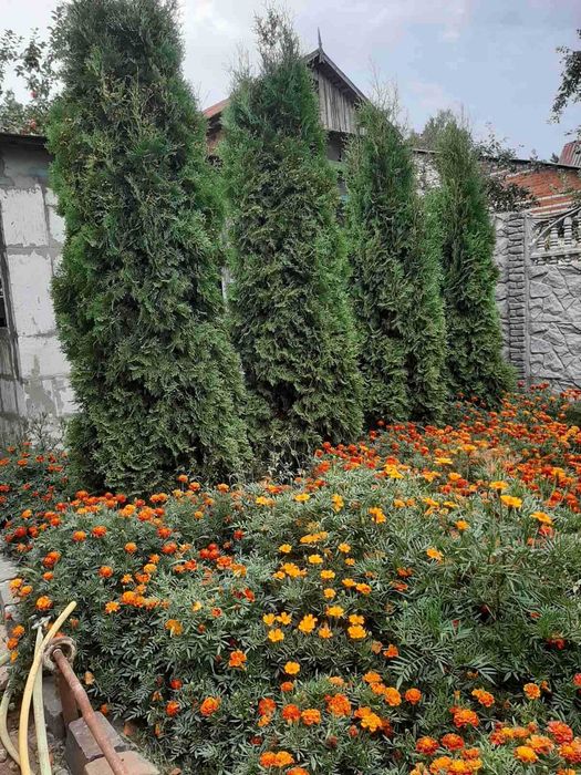 Продам дачу на Барановке