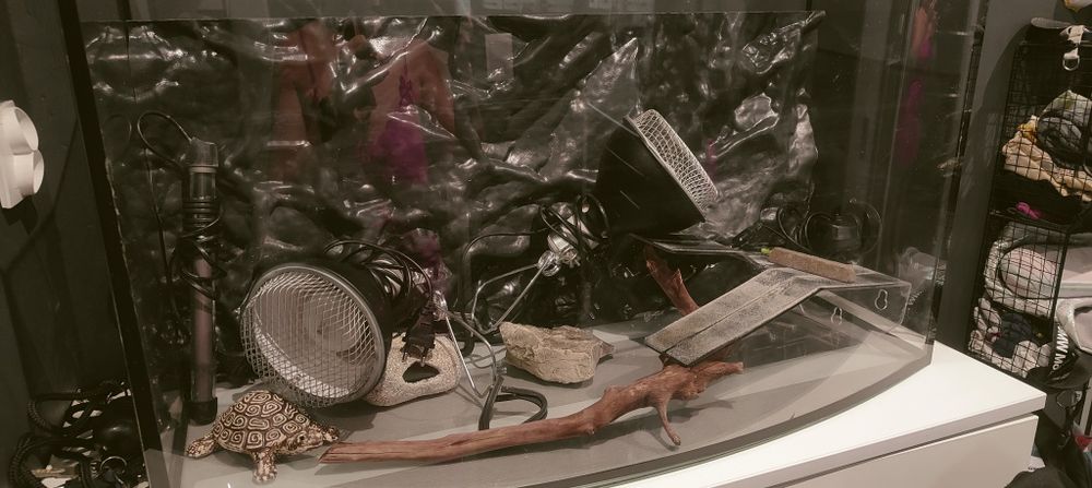 Akwarium profilowane 120l osprzęt zestaw dla żółwia