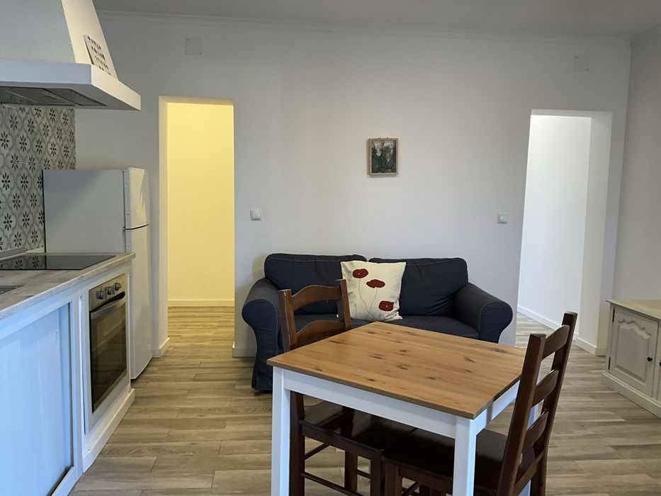 Arrendo apartamento t1 mobilada e cozinha equipada.
