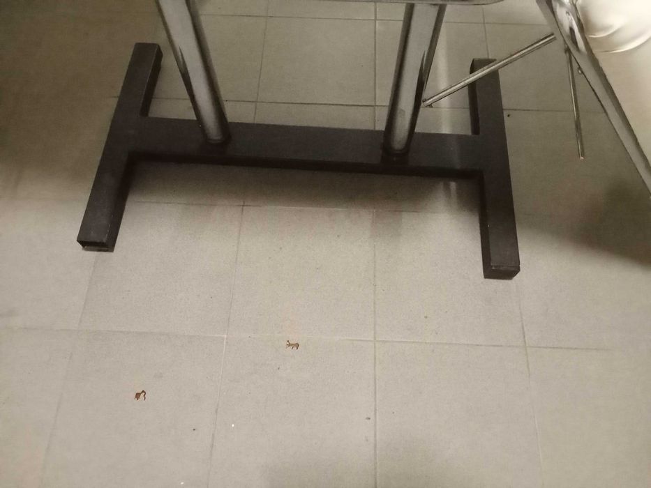 Marquesa tripartida de pele