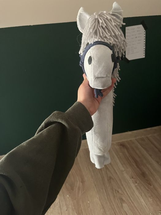 hobby horse z halterem