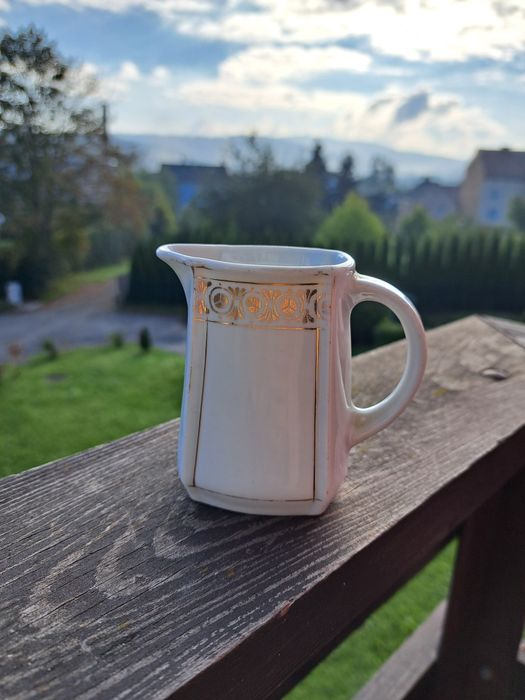 Mlecznik porcelanowy