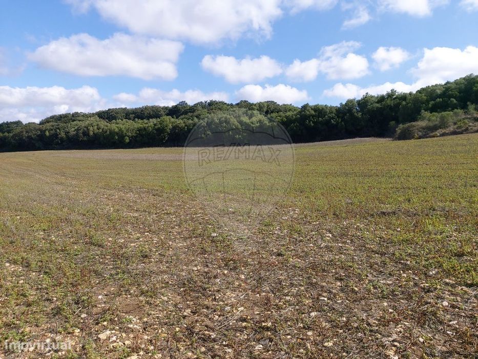 Terreno  para venda