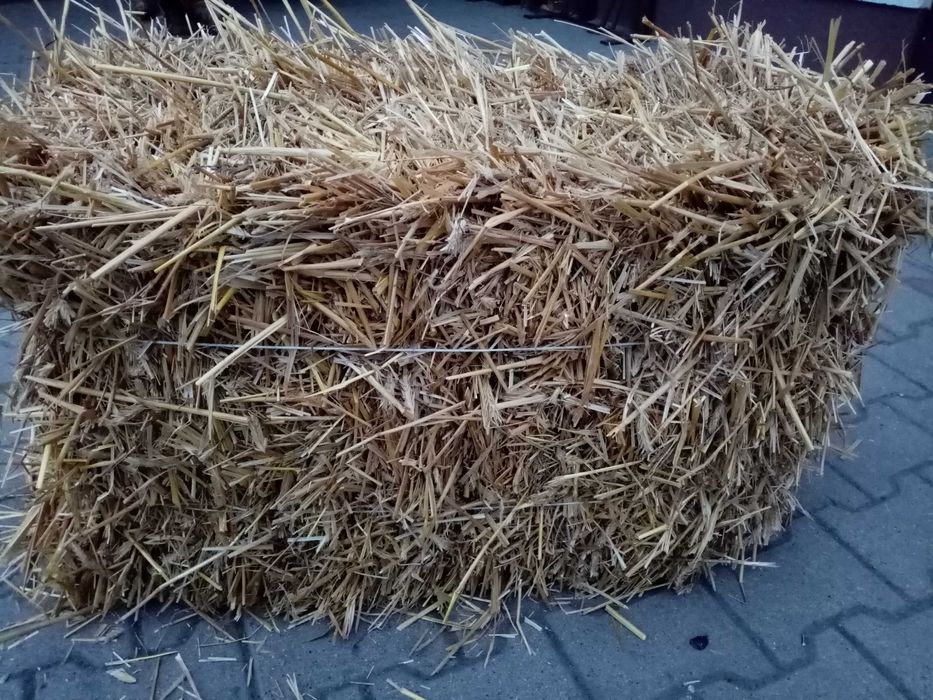 Sprzedam Słomę pszenną kostka. Możliwy transport.