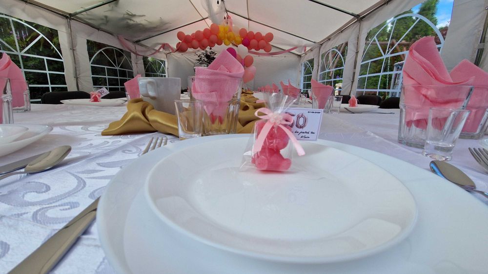 Namiot imprezowy cateringowy stoły,krzesła,zastawa,komunia,urodziny.