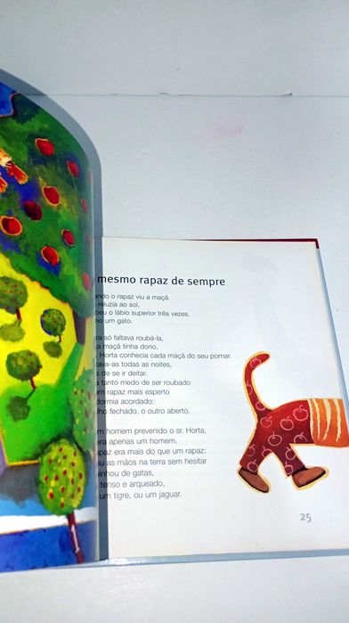 O Limpa-Palavras e outros Poemas - Álvaro Magalhães