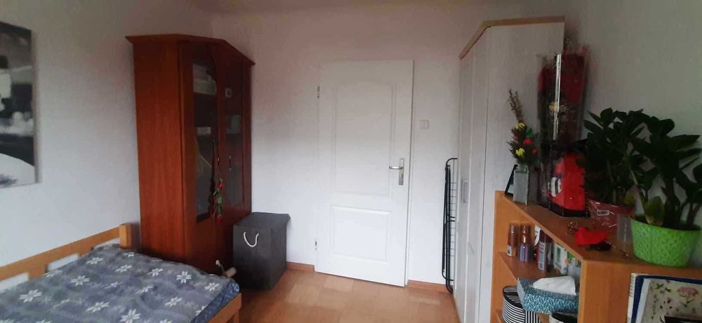 Przytulny pokój w cichej okolicy oraz towarzystwie współmieszkańców