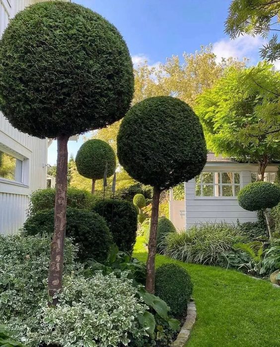 Весняний догляд за газоном та садом – скарифікація,підживлення,стрижка