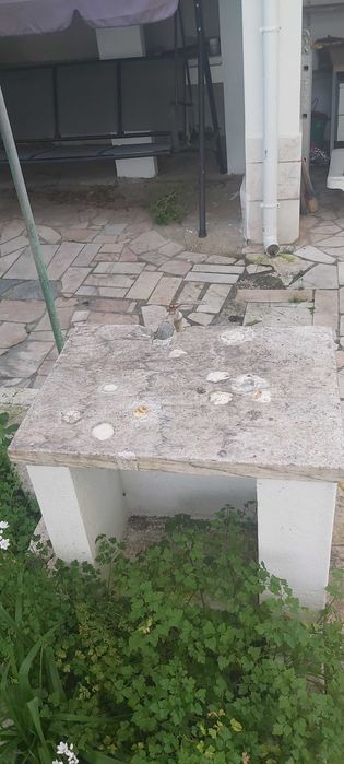 Vendo pedra mármore