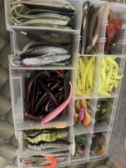 Caixa de amostras para pesca ao achiga e lucio.