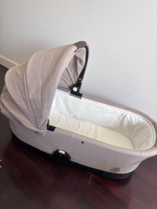 Alcofa cybex Gazelle