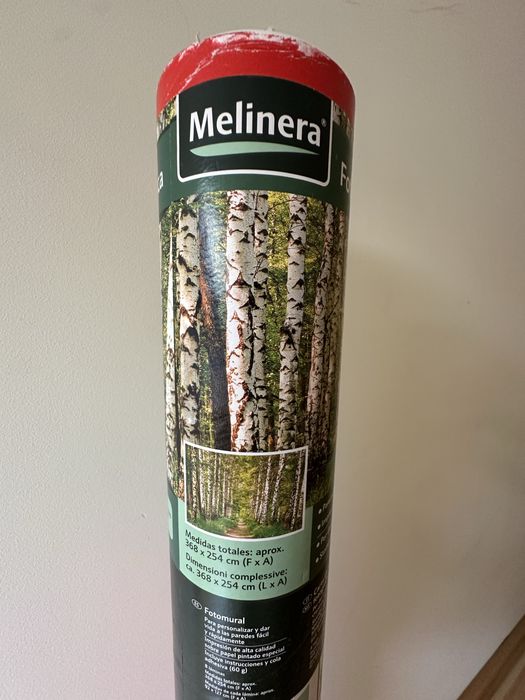 Poster de Floresta Novo 25€