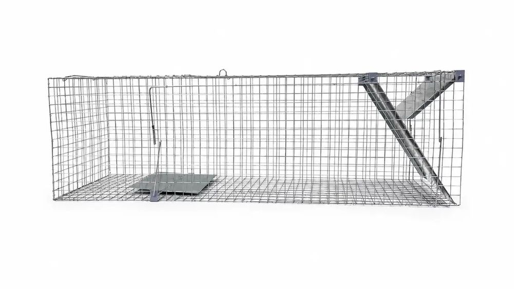 ХІТ продажу! Живоловка 120×33×37 см — надійна пастка на куниць, ласок, пацюків і котів | Надійність Зручність