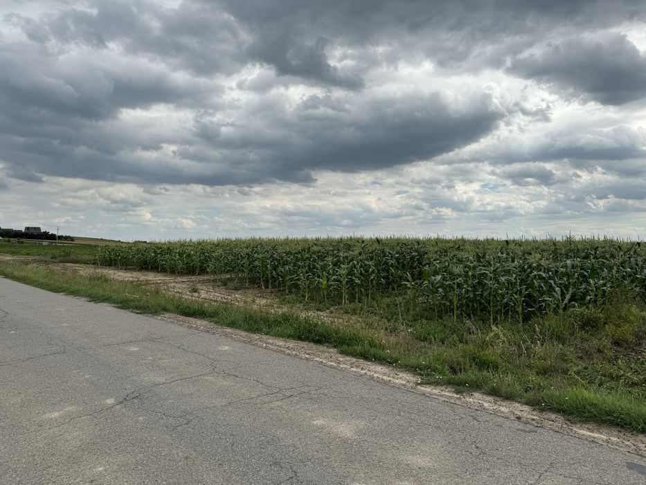 działka blisko Krakowa!
