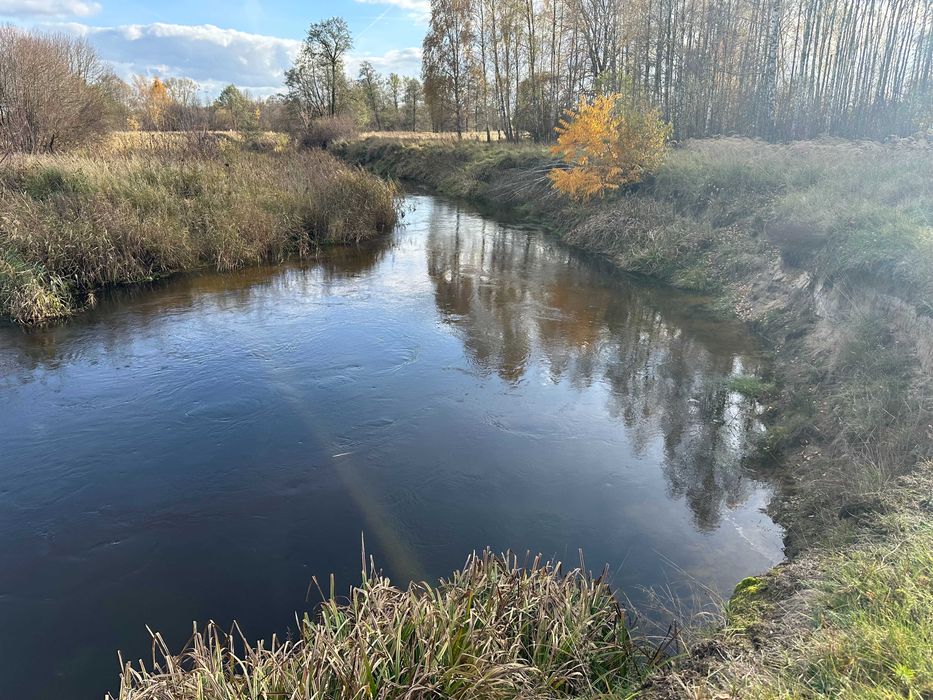 Działka z linią brzegową rzeki Grabia