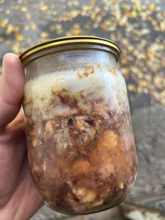 Домашня тушонка 0.5 л