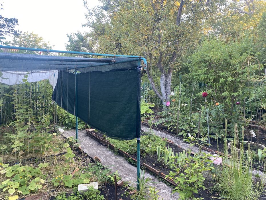 Дачний невеликий будинок