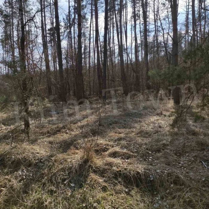 Продається земельна ділянка в СТ «Берізка» (Козинські горби)