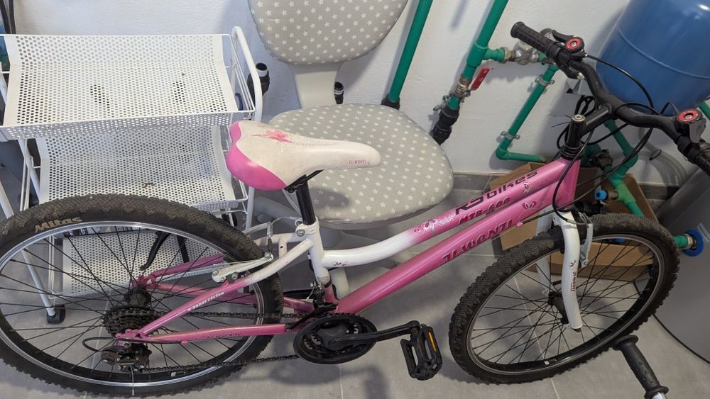 3 bicicletas 1 trotinetes 1 segway