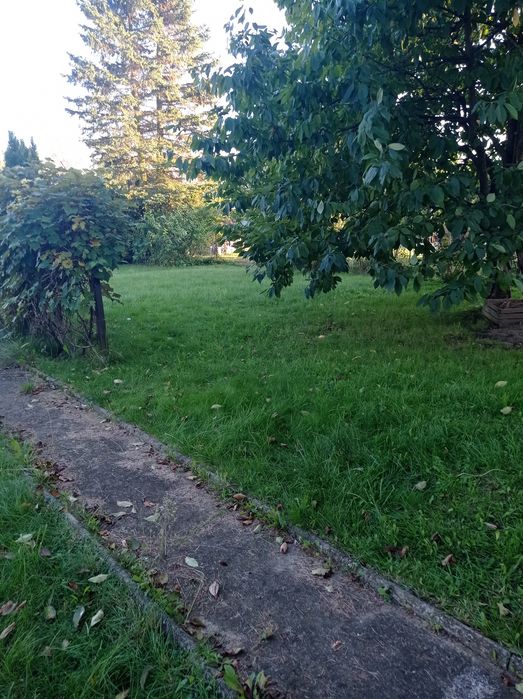Sprzedam działkę rekreacyjną