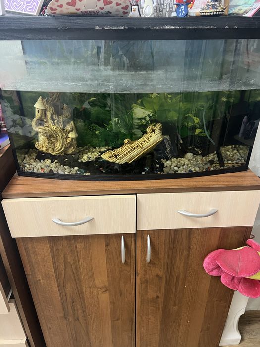 Аквариум на 100 л