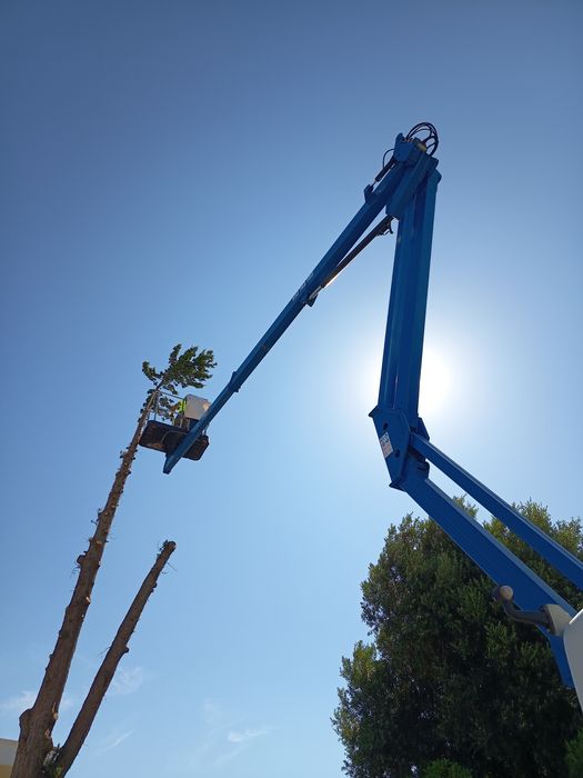 Aluguer de Camião Grua com Cesto