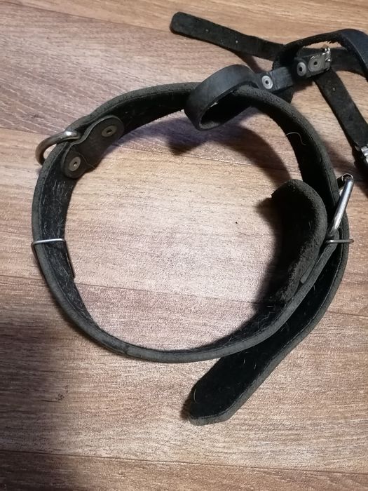 Продам нашийник шкіряний для собаки