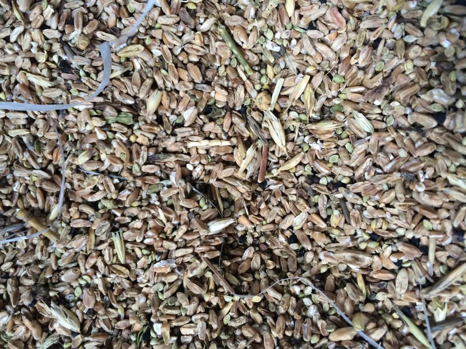 Закуповуємо зерновідходи, Агровідходи!