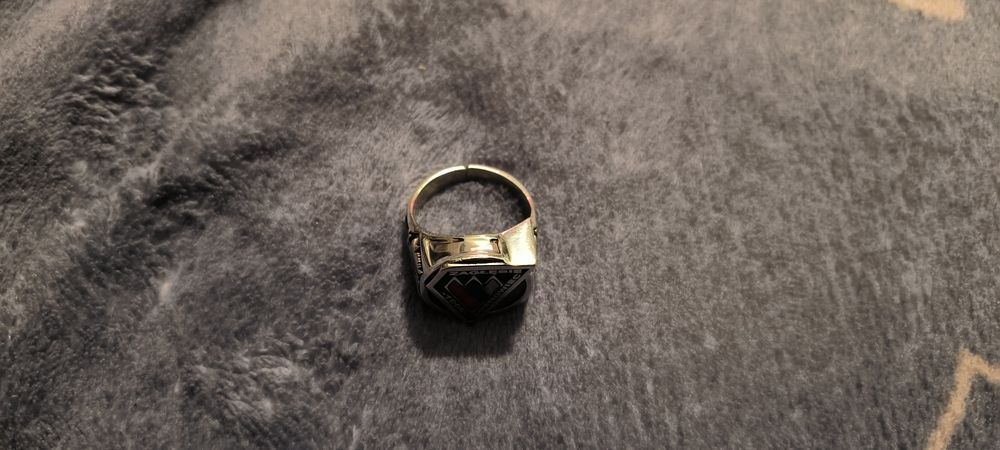 Sygnet Zaglebia Sosnowiec