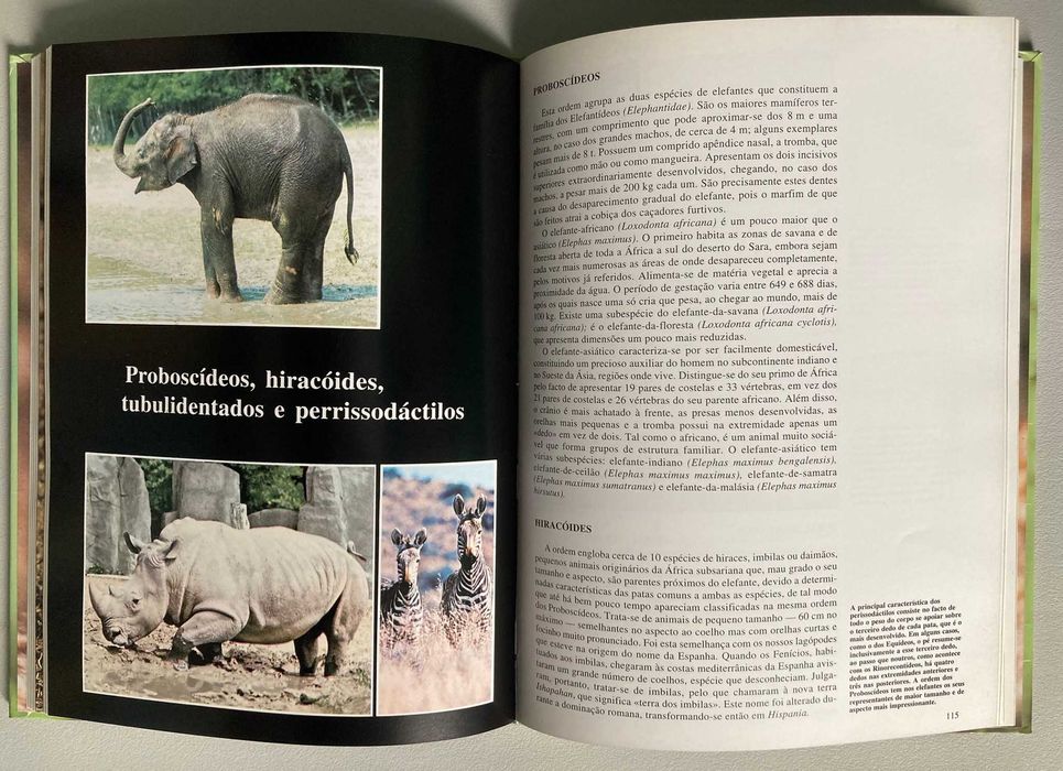 Os Mamíferos II, de Alfredo Merino