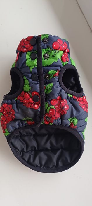 Куртка для чихуахуа мини