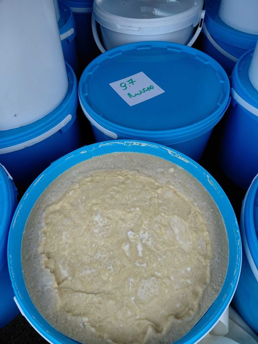 Продам какао масло (Нідерланди)