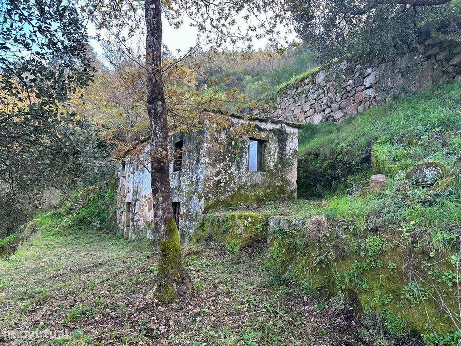Moradia Devoluta T0 Venda em Tarouquela,Cinfães