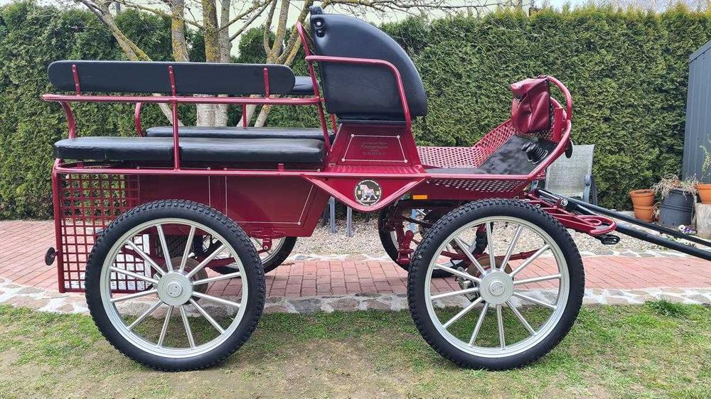 Bryczka konna Wagonetka Powóz Singiel - Para