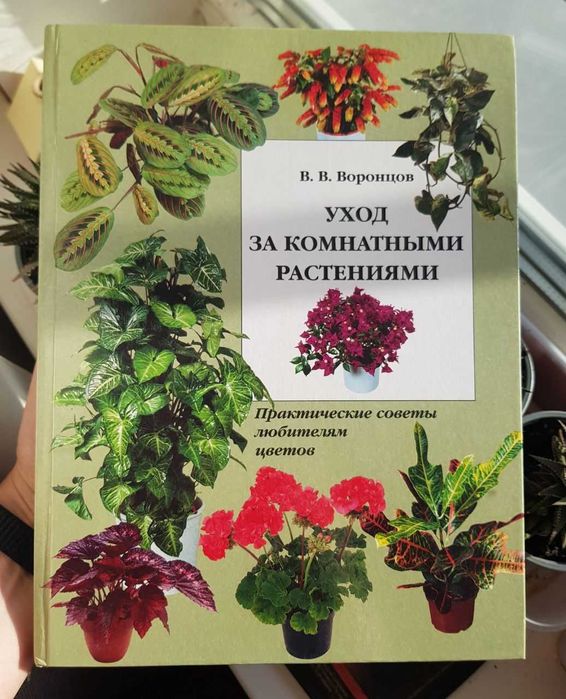 Книга Уход за комнатными растениями, В.Воронцов