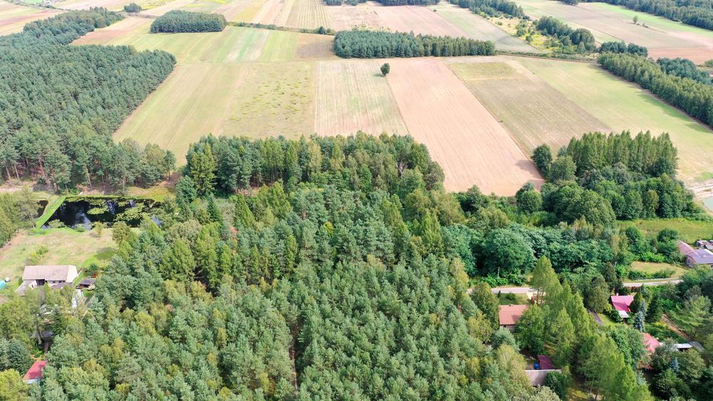 Ładna działka rekreacyjno-leśna, staw możliwość przekształcenia Panki