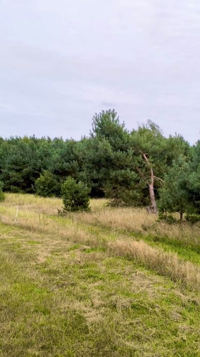 Działka 25 km od Międzyzdrojów| Warunki | 99 000 ZŁ