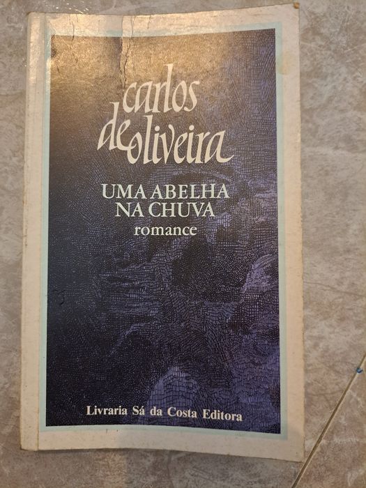 Livro Uma Abelha na Chuva