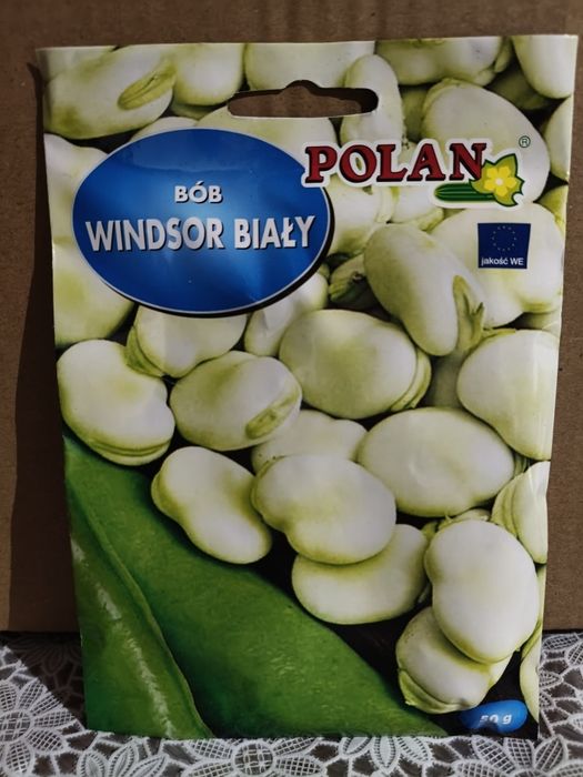 Bób Windsor Biały