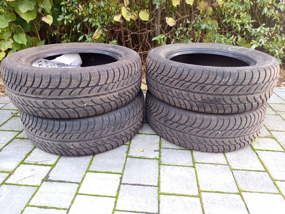 Opony zimowe Dębica Frigo 195/60 R 15